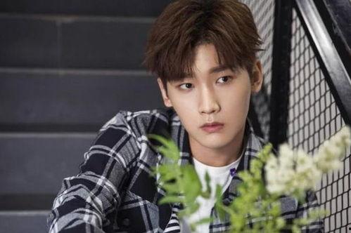 张正宸恋情爆料最新消息,神秘女友身份揭晓，细节揭秘引热议