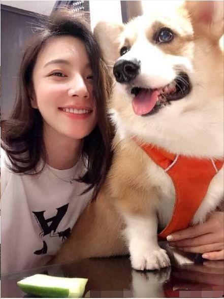 柯基最新爆料视频,揭秘明星私生活细节