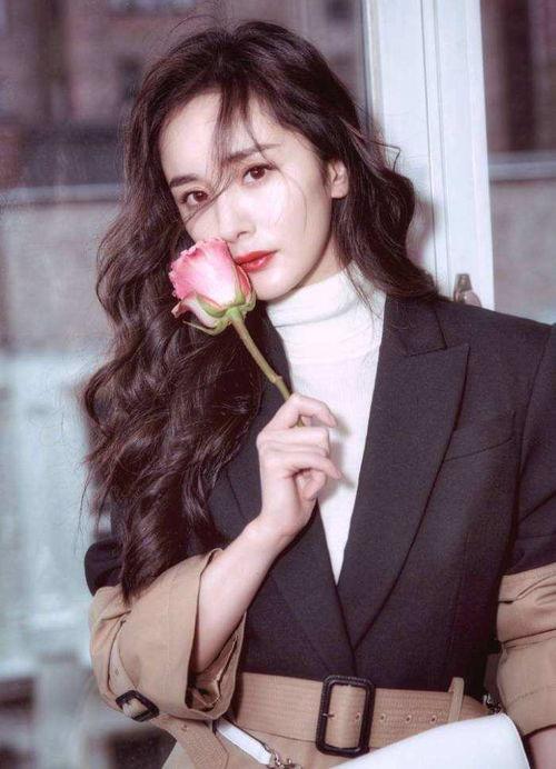 杨幂郑爽最新爆料,揭秘娱乐圈背后的真相与争议