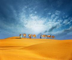 最新沙漠爆料新闻报道图片,最新爆料揭示神秘沙漠景观