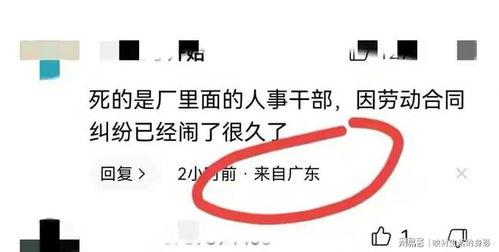 东莞开发商爆料案件最新,揭秘背后利益纠葛与法律博弈